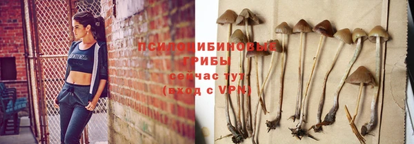 стафф Алексин