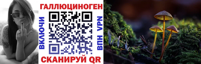 Псилоцибиновые грибы мухоморы  закладки  Цоци-Юрт 